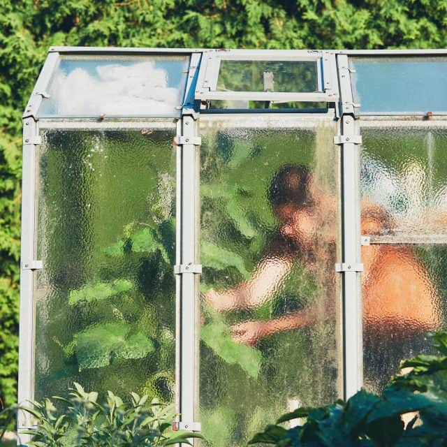 Work on the vegetable garden